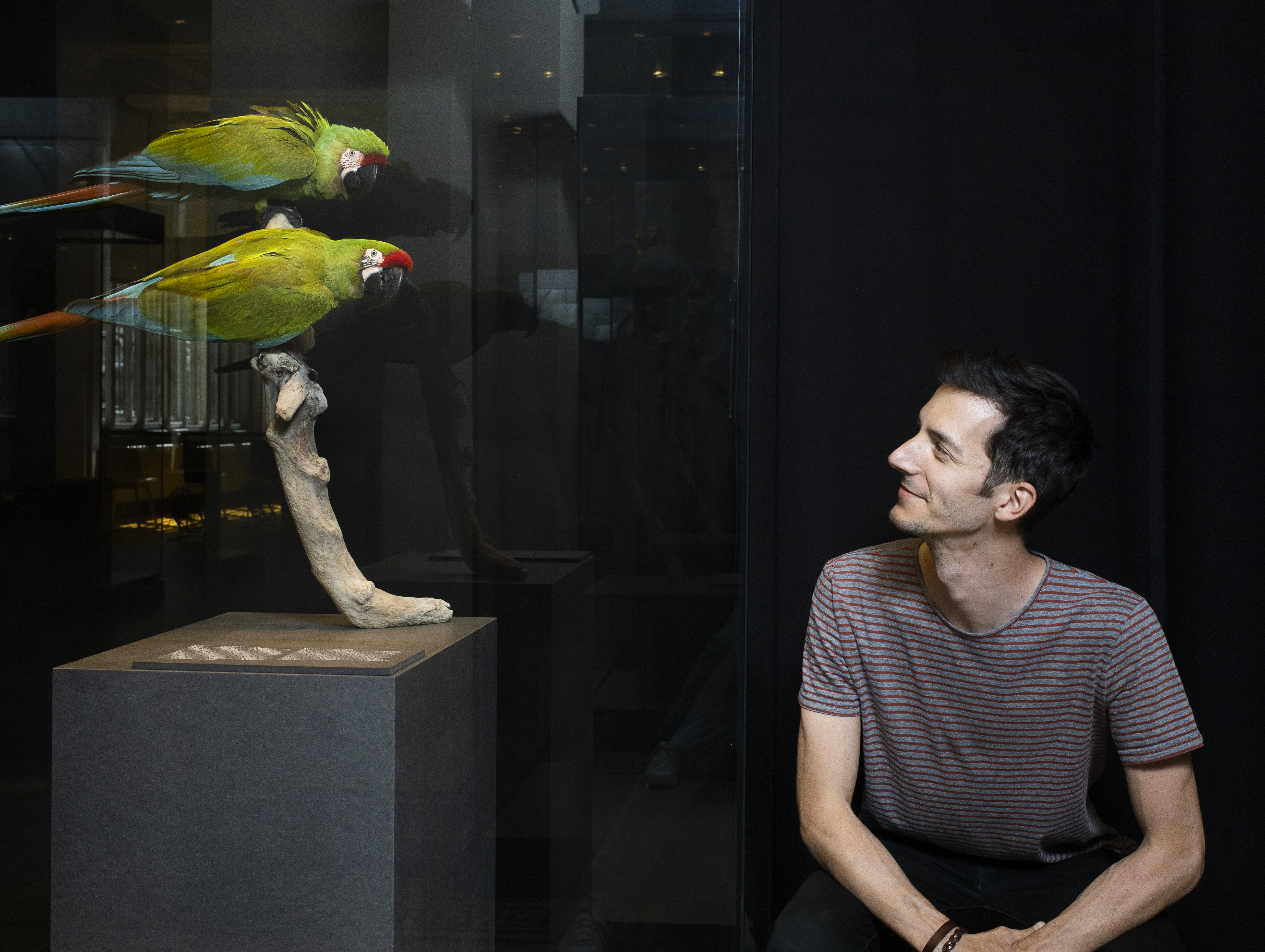 Bruno Delepelaire (on the right) next to two green parrots (on the left).