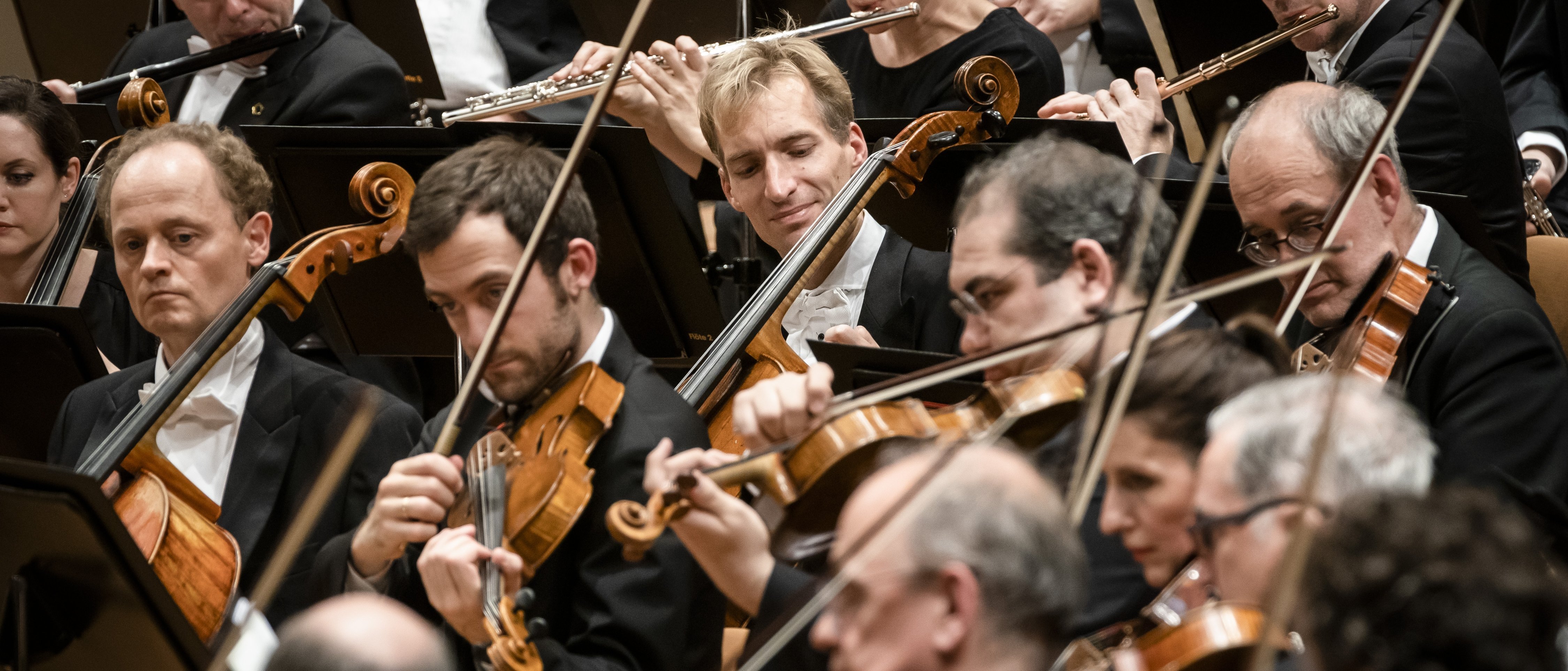 Die Berliner Philharmoniker in formeller schwarzer Kleidung spielt während eines Konzerts Geigen, Flöten und andere Instrumente und ist dabei ganz auf ihre Musik konzentriert.