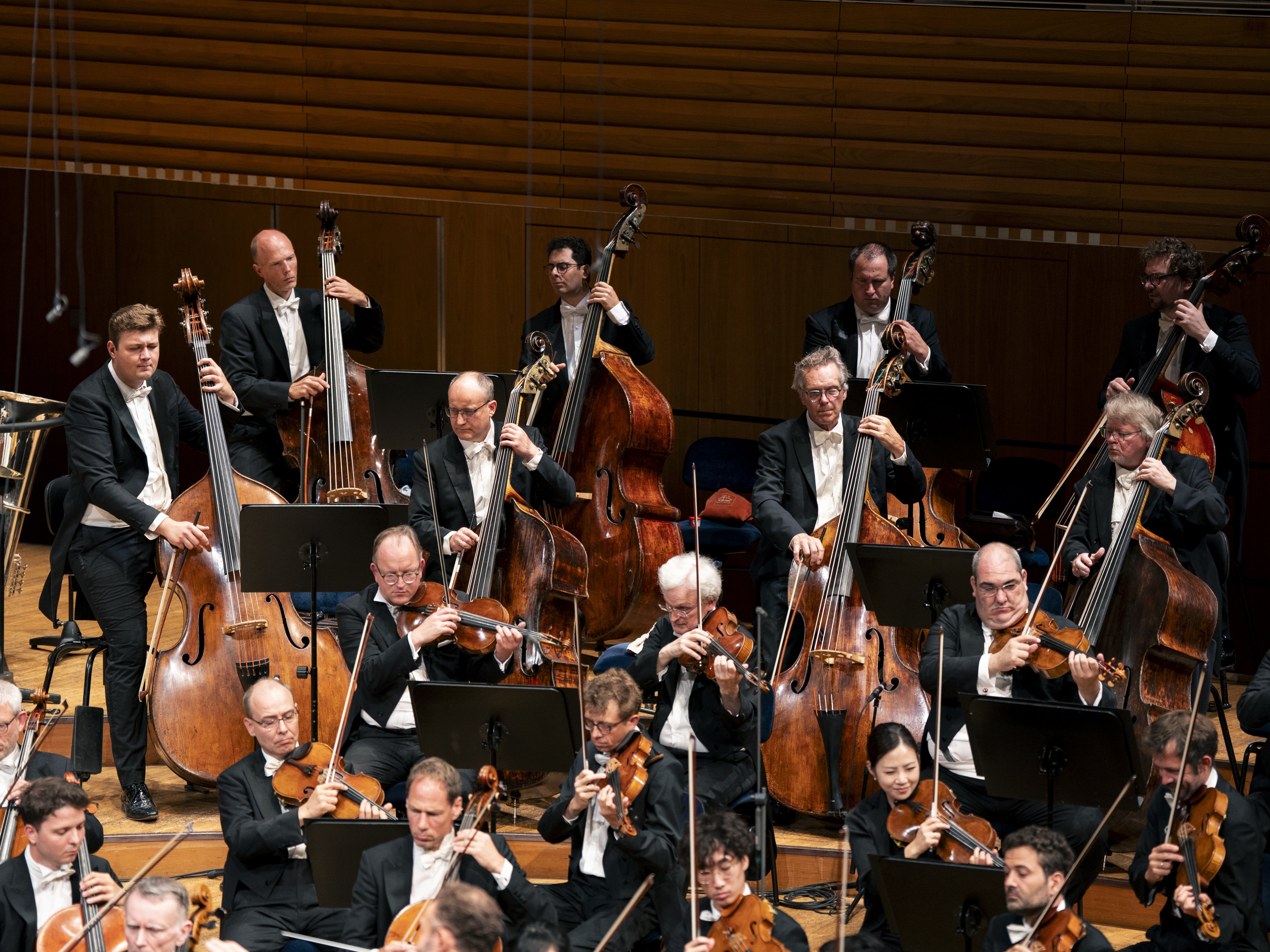 An orchestra performs on stage, with musicians playing double basses, cellos, and violins. They wear formal black attire and are seated under warm lighting in a wood-paneled concert hall.