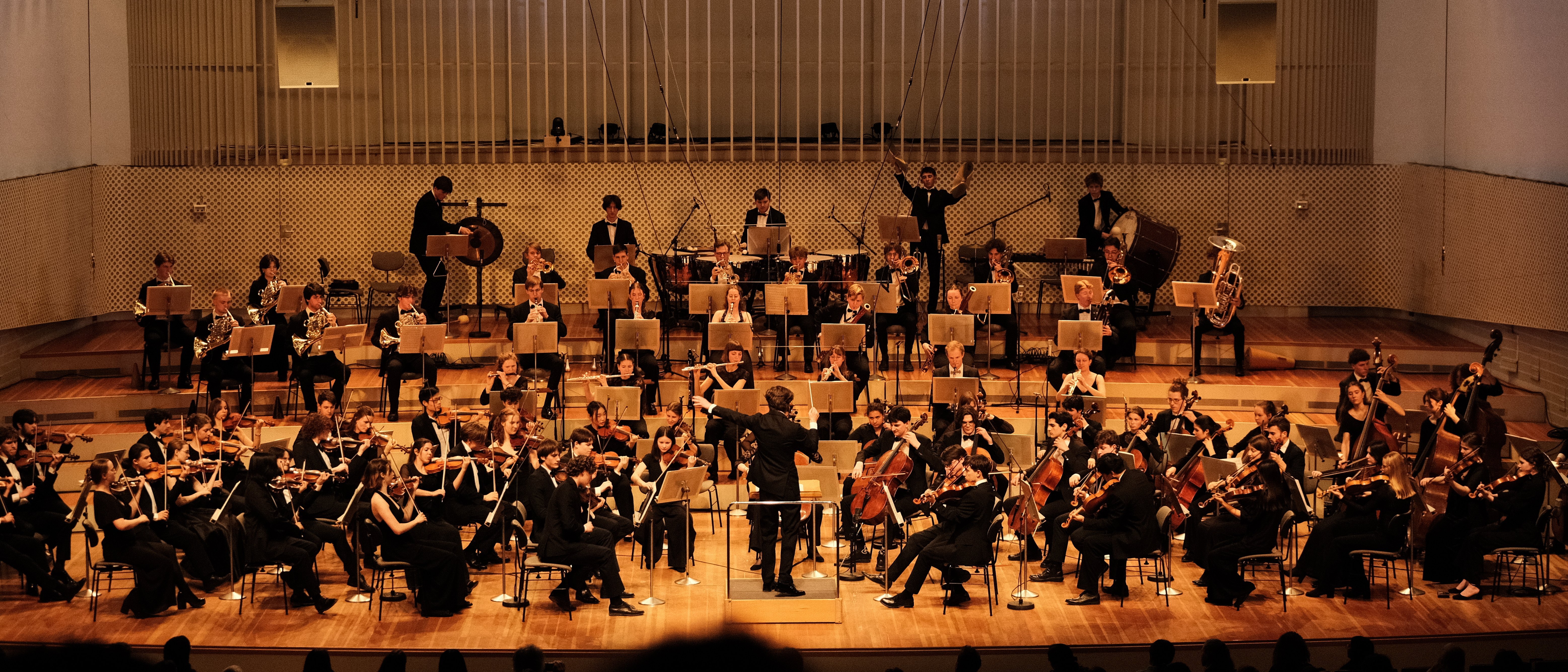 A large orchestra performs on stage in a concert hall, with musicians playing various instruments and the conductor standing at the center, leading the ensemble under warm stage lighting.