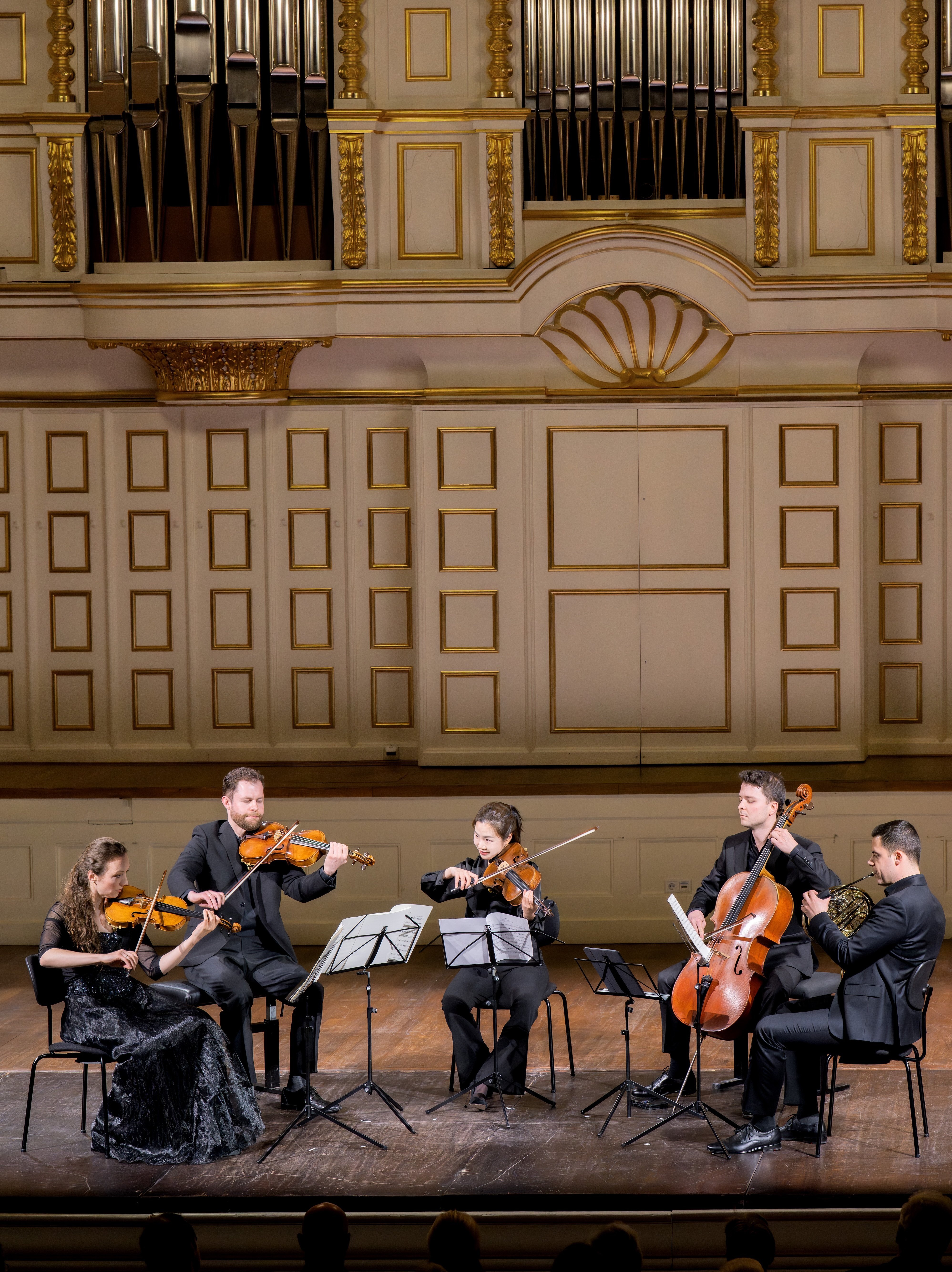 Ein Streichquintett tritt auf der Bühne eines eleganten Konzertsaals auf. Zwei Geiger, ein Bratschist und zwei Cellisten sitzen vor Notenständern, unter einer großen Orgel und verzierten Täfelungen.