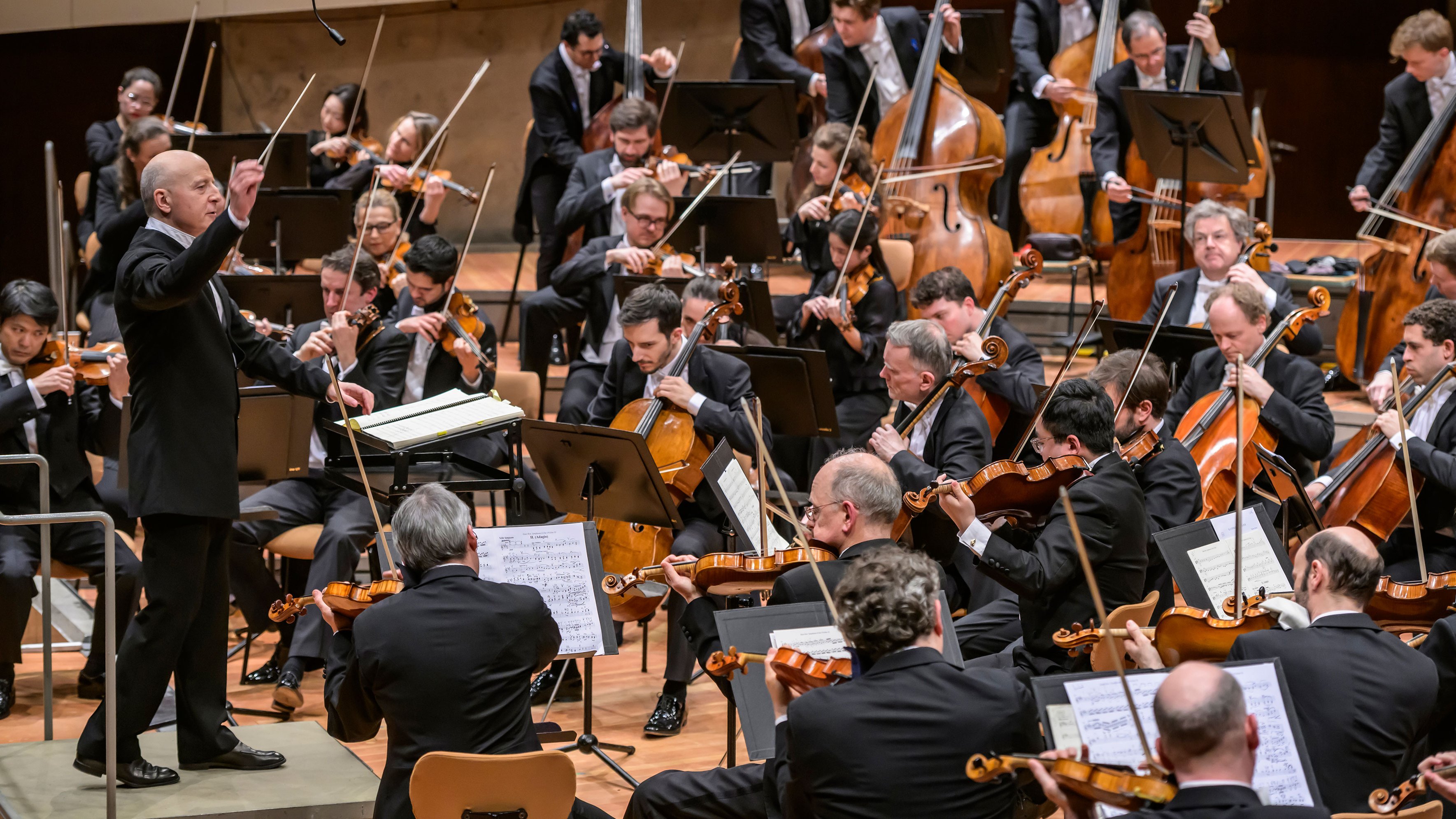 A conductor leads an orchestra of musicians playing string instruments on stage, with music stands and sheet music in front of them, all dressed formally in black.
