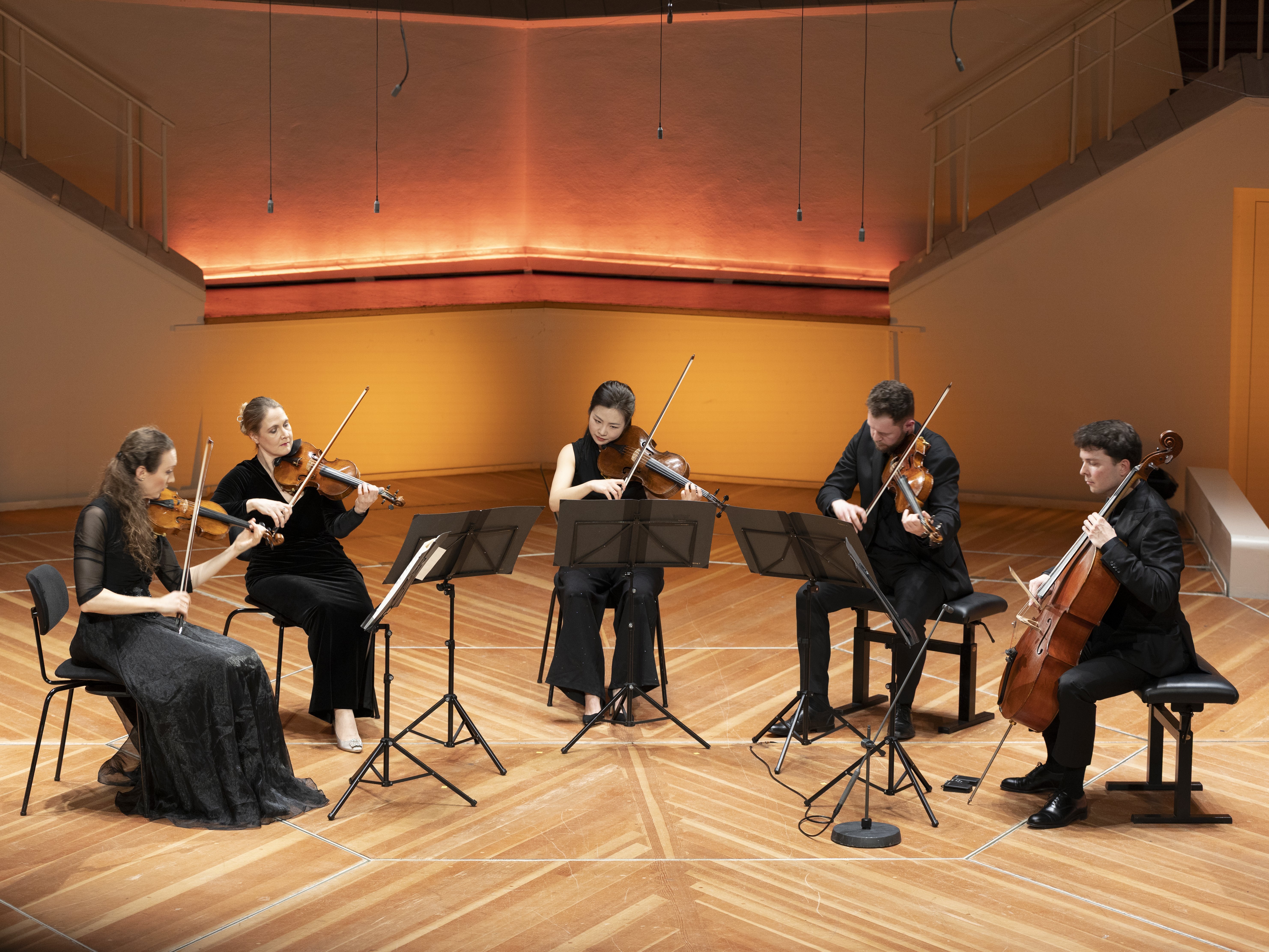 Fünf schwarz gekleidete Musiker spielen auf einer Holzbühne Streichinstrumente - drei Geigen, eine Bratsche und ein Cello - in einem warm beleuchteten Konzertsaal. Vor ihnen sind Notenständer aufgestellt.