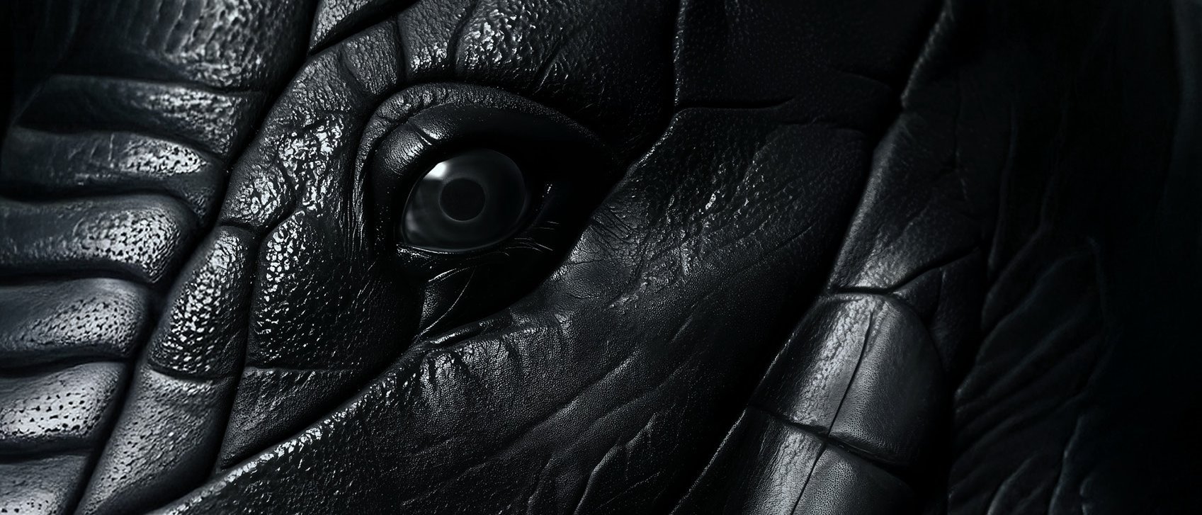 Nahaufnahme einer dunklen, strukturierten Oberfläche mit tiefen Falten und Furchen, in deren Zentrum ein glänzendes Auge steht, das der detaillierten Haut und dem Auge eines Elefanten oder eines ähnlichen großen Tieres ähnelt.