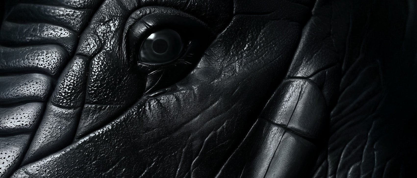 Close-up of a dark, textured surface with deep folds and creases, at the centre of which sits a gleaming eye, resembling the detailed skin and eye of an elephant or a similar large animal.