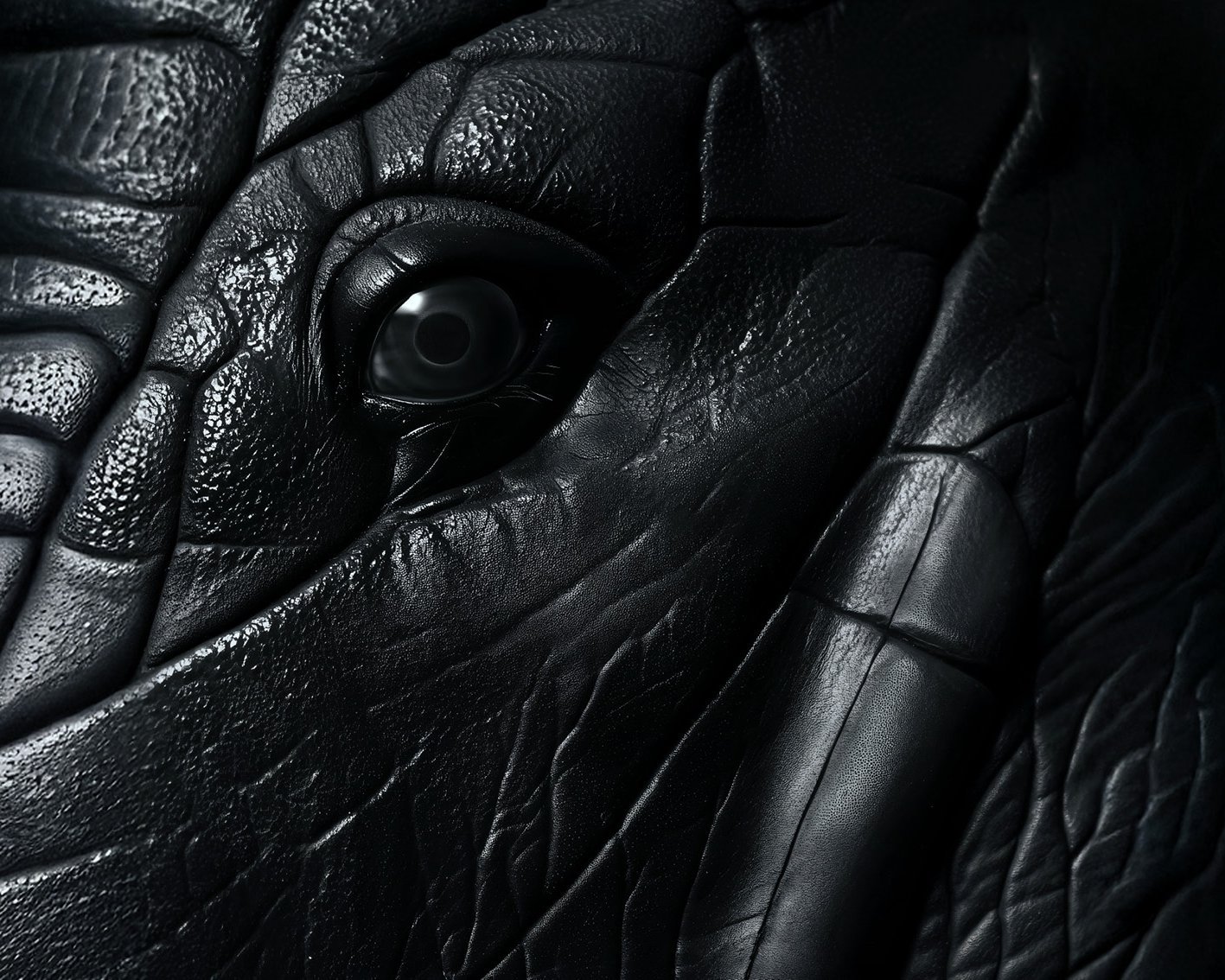 Close-up of a dark, textured surface with deep folds and creases, at the centre of which sits a gleaming eye, resembling the detailed skin and eye of an elephant or a similar large animal.