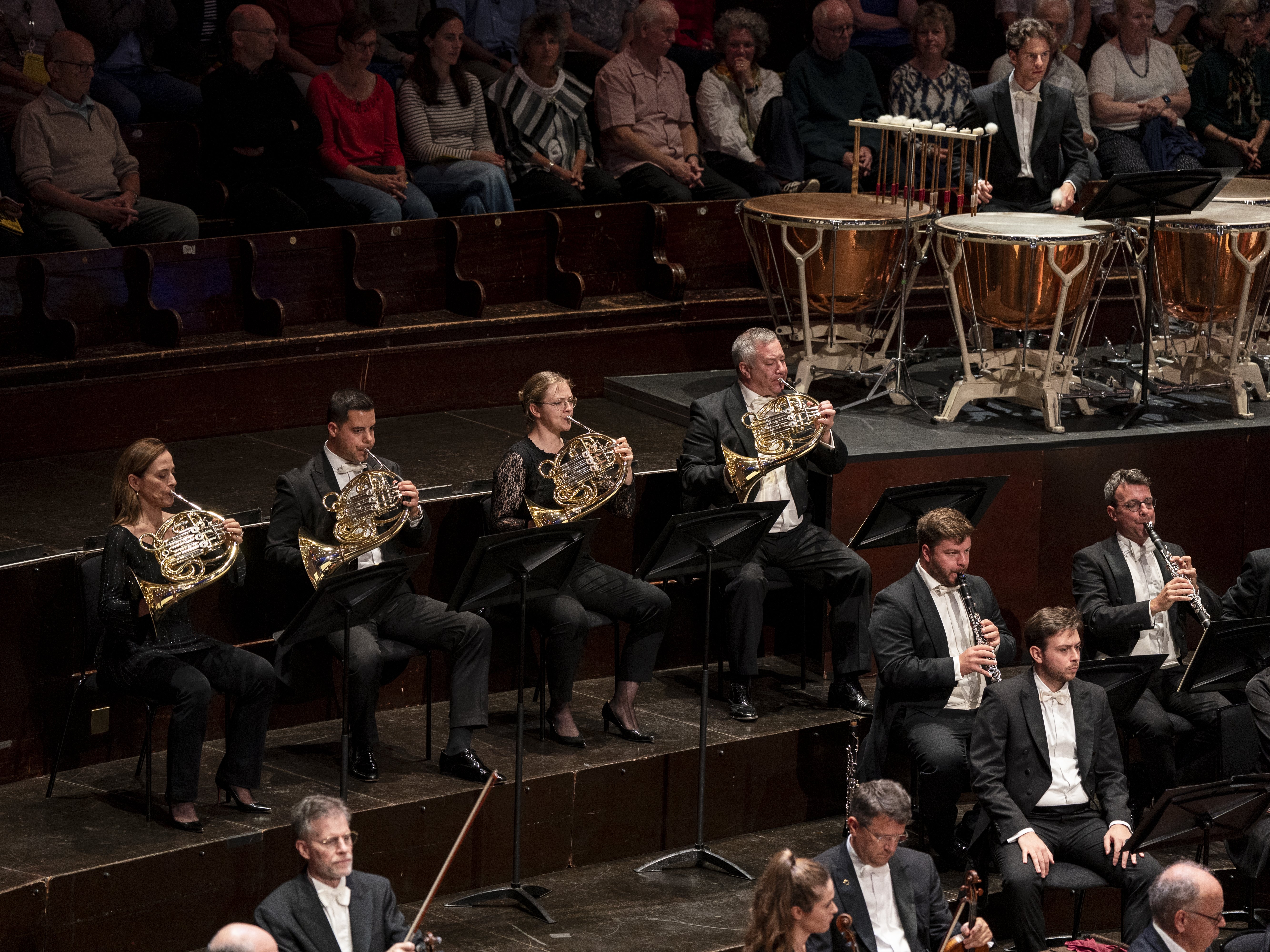 Four French horn players sit in an orchestra, dressed in black, performing on stage. Other musicians, audience members, and percussion instruments are visible in the background.