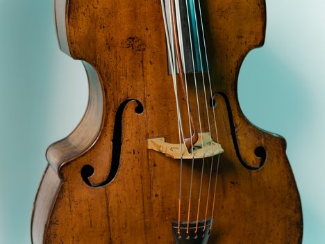 A close-up view of an upright double bass with a wooden body, metal strings, curved f-holes, and a tailpiece, set against a light background.