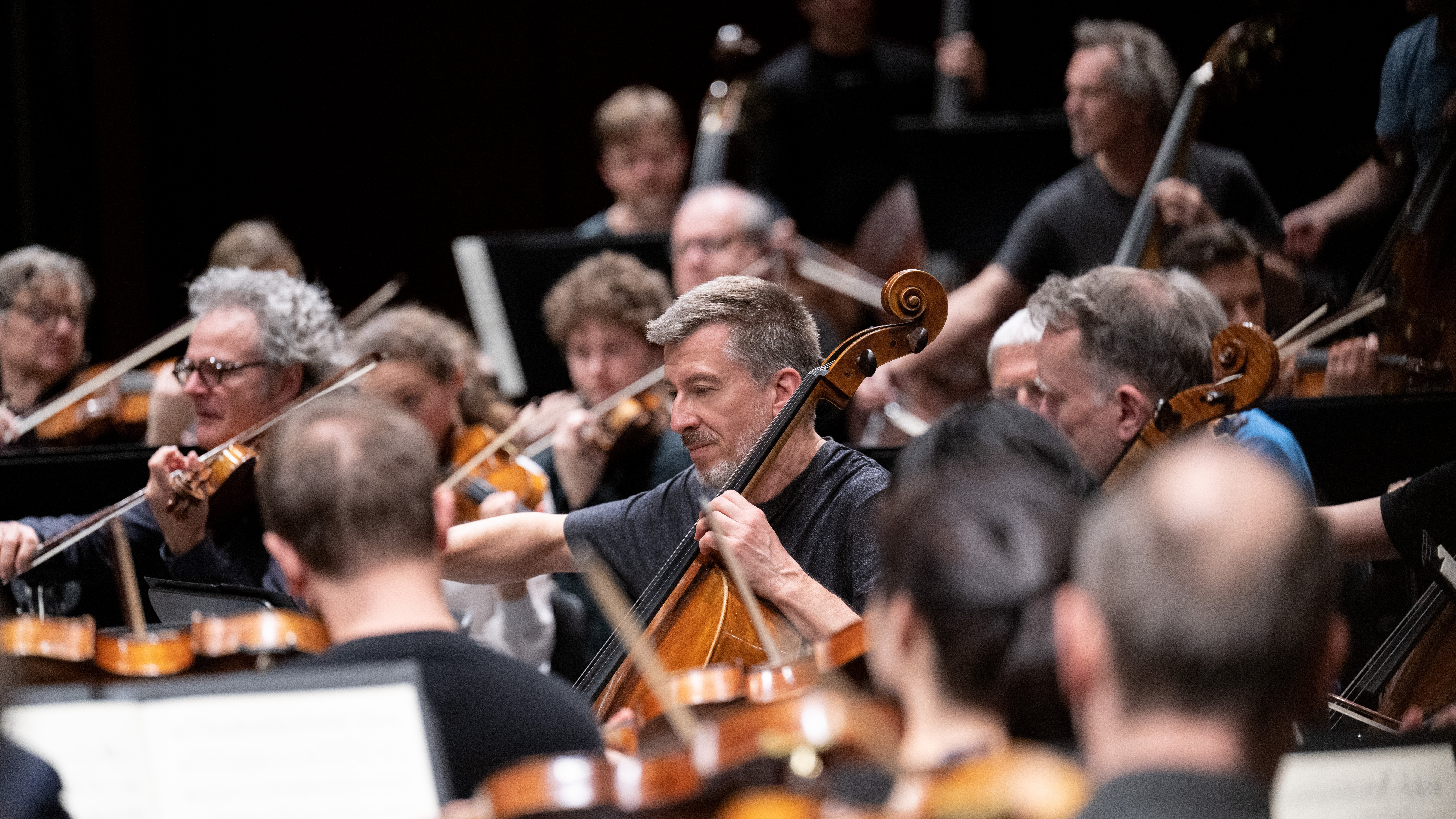 Blick in das probende Orchester: ein Cellist ist im Fokus, darum herum sind viele Streicher mit Bögel und Geigen zu sehen.