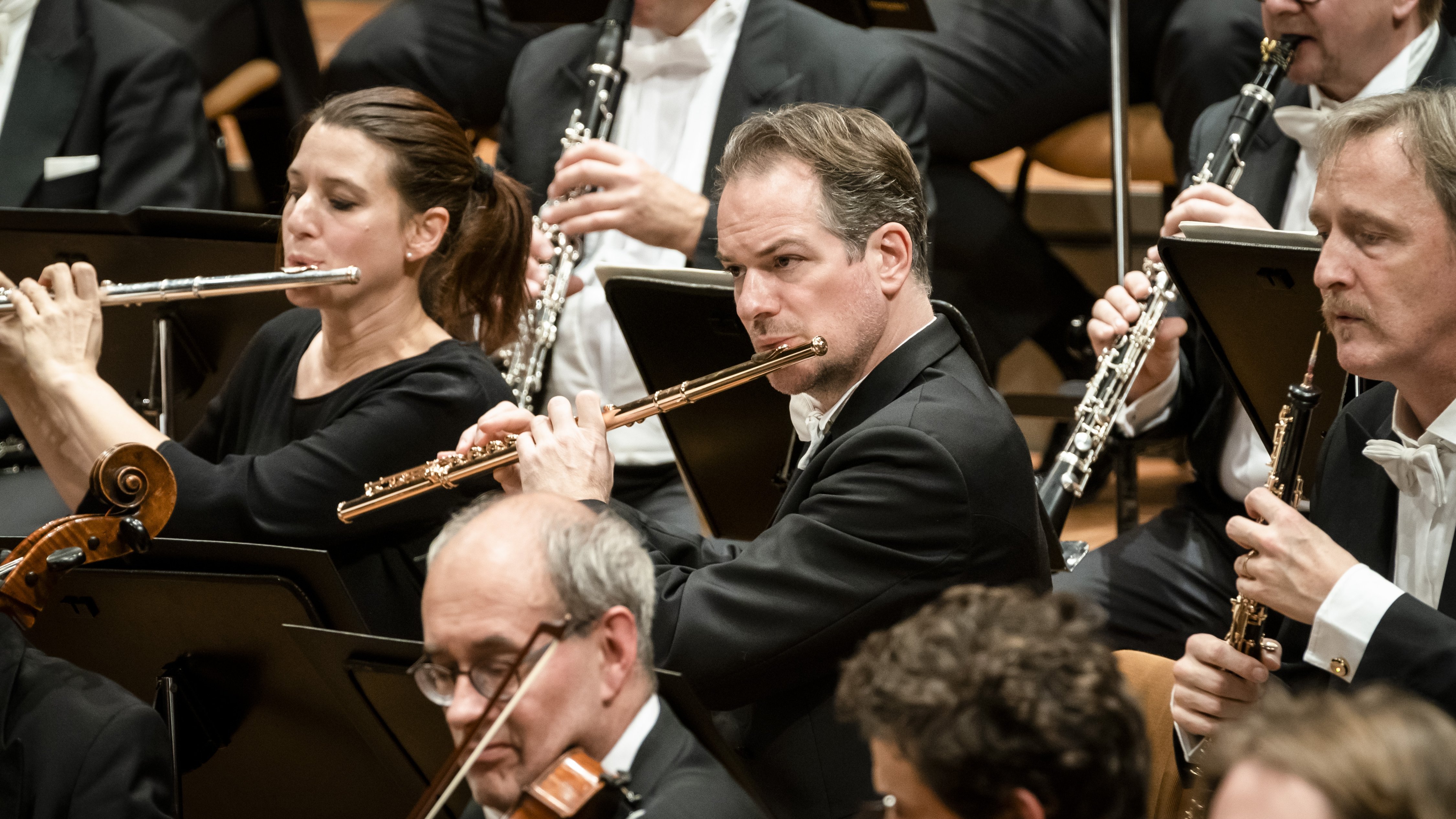 Eine Gruppe von Musikern in formeller schwarzer Kleidung spielt in einem Orchester Flöten, Klarinetten und Streichinstrumente während eines Konzerts.