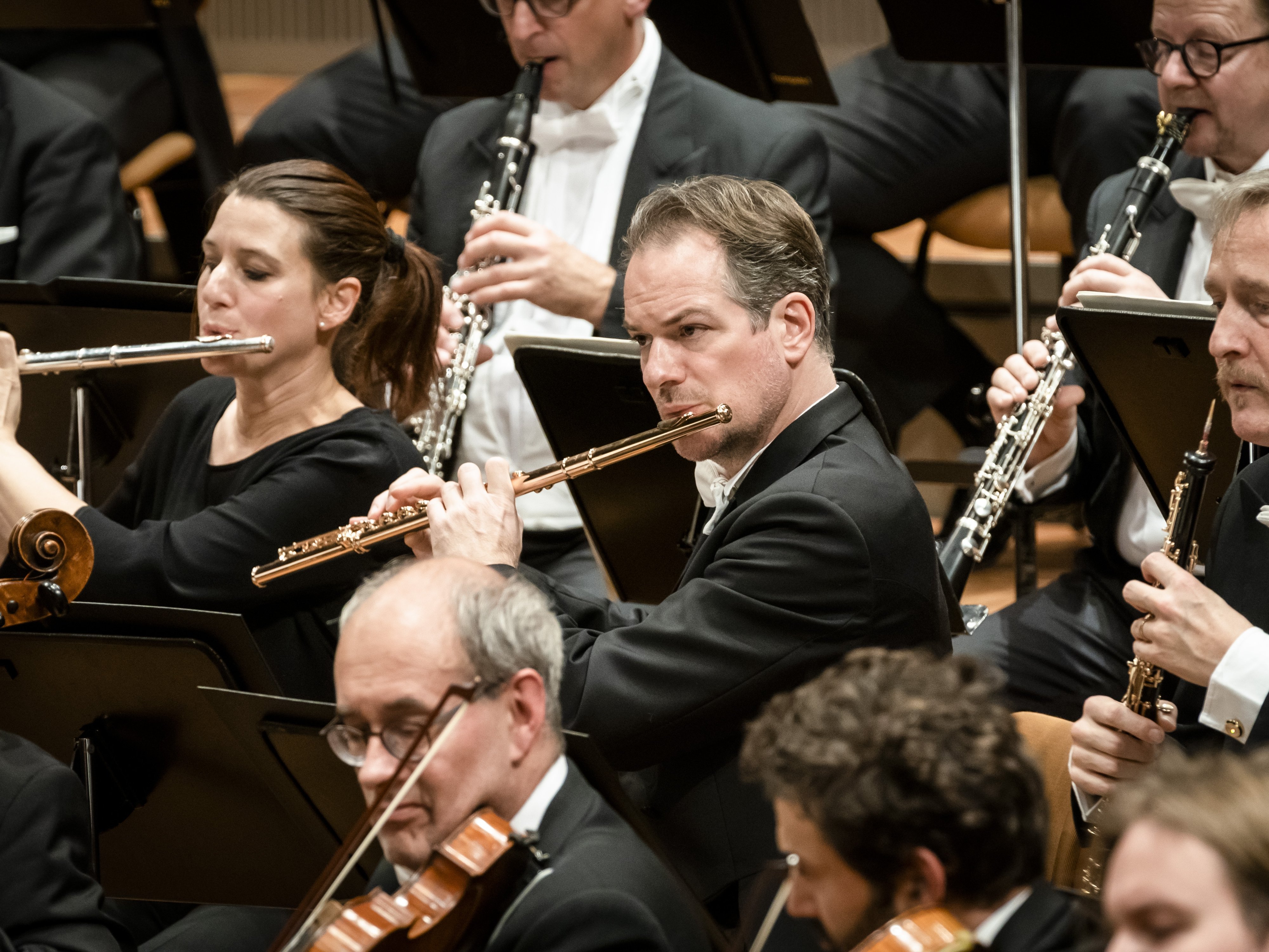 Eine Gruppe von Musikern in formeller schwarzer Kleidung spielt in einem Orchester Flöten, Klarinetten und Streichinstrumente während eines Konzerts.