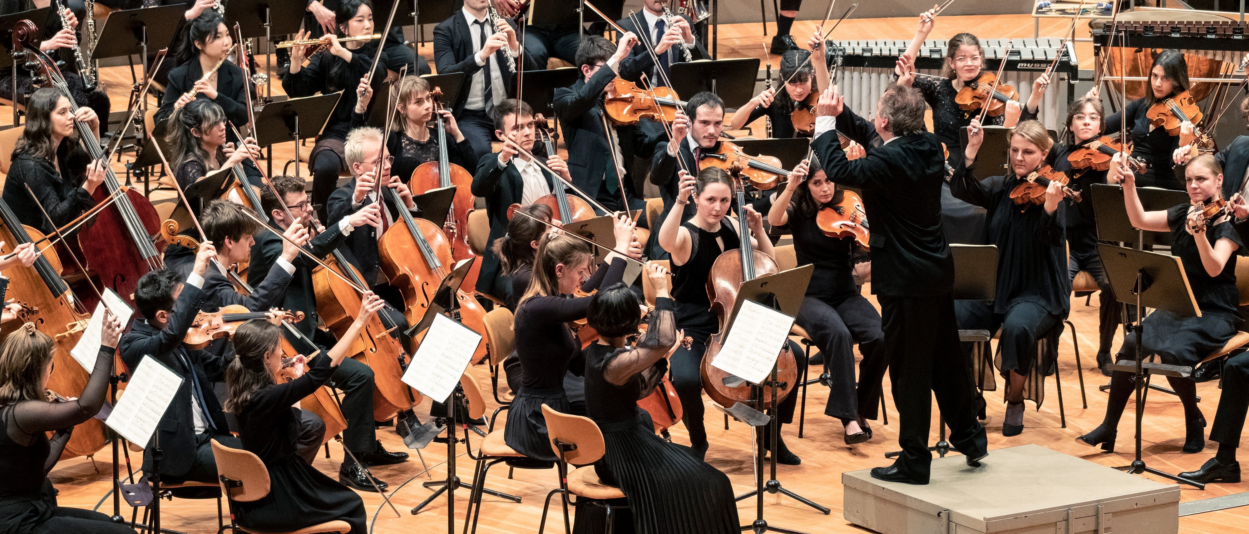Junge Deutsche Philharmonie