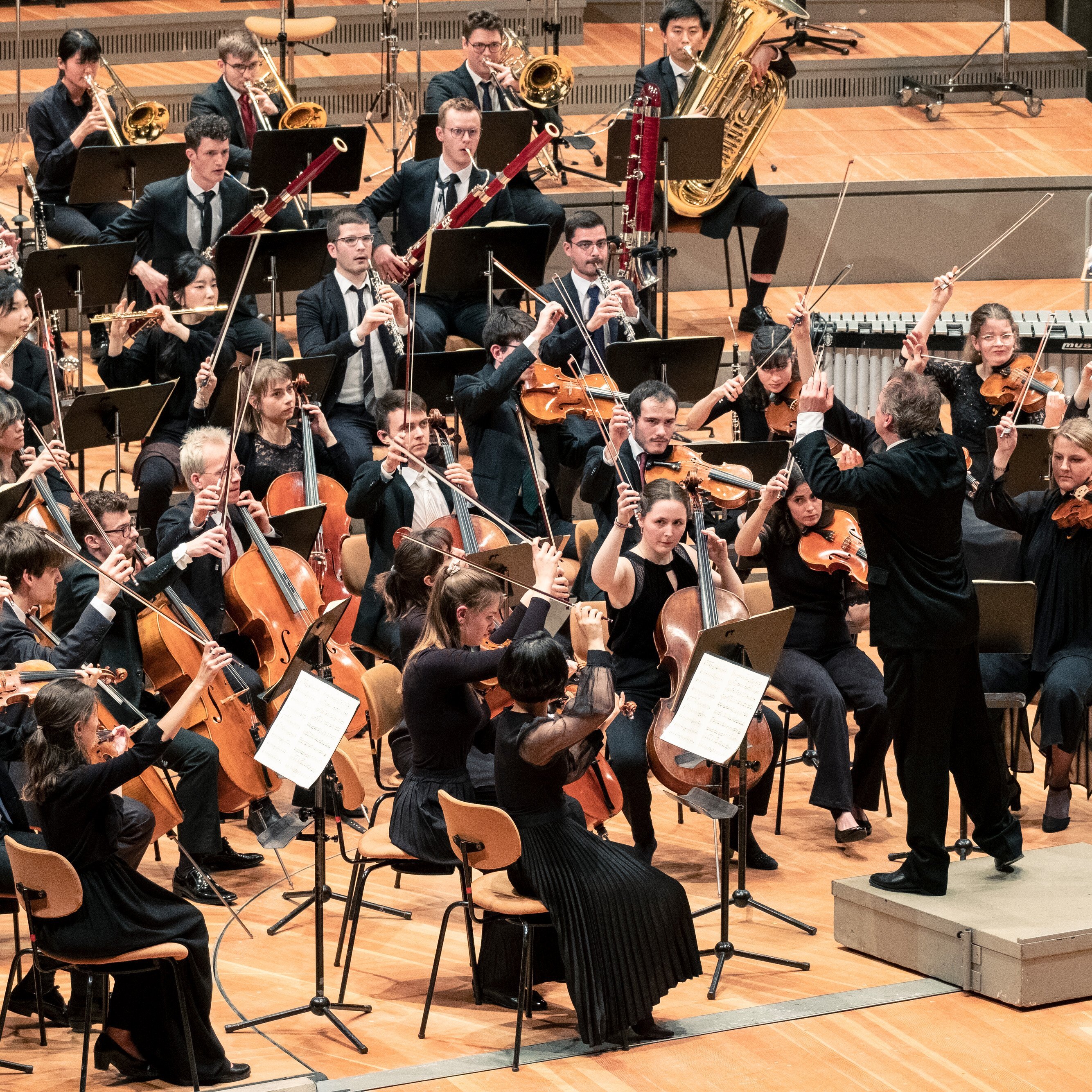 Junge Deutsche Philharmonie