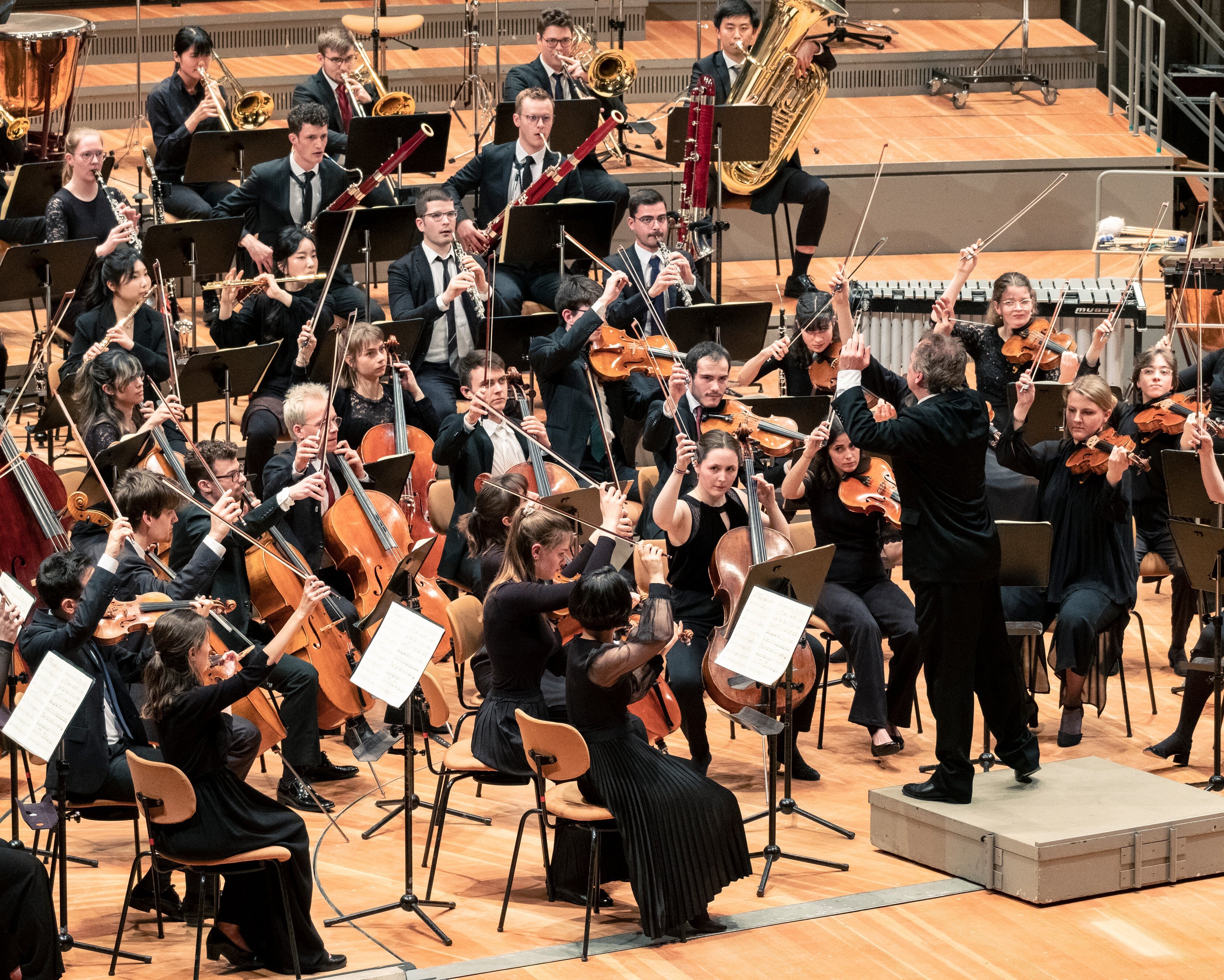 Junge Deutsche Philharmonie