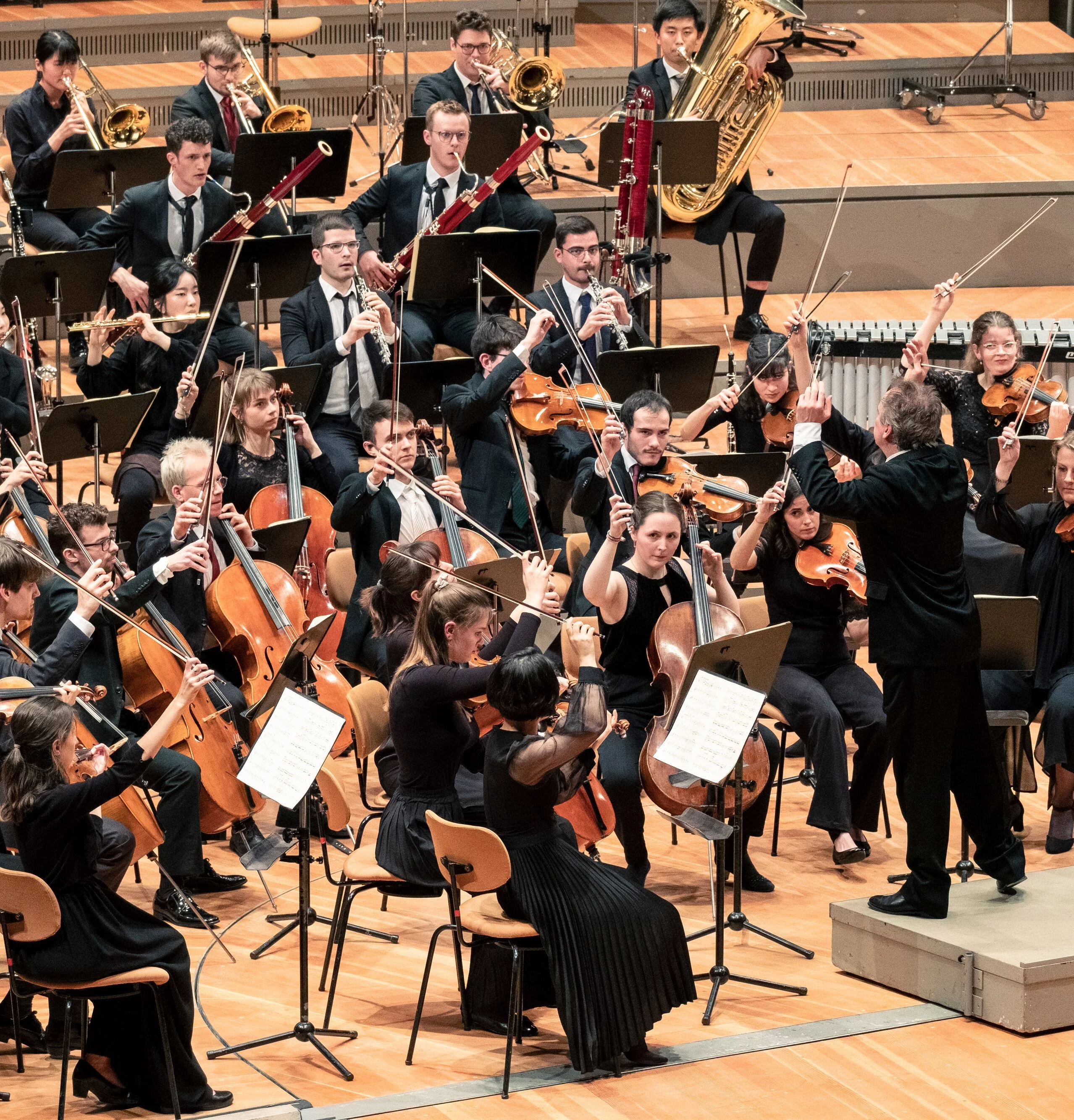 Junge Deutsche Philharmonie