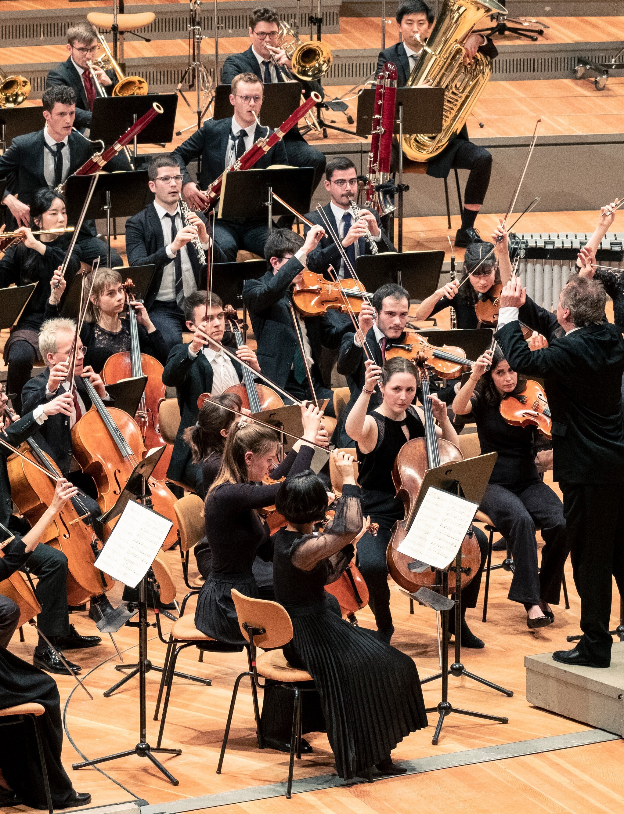 Junge Deutsche Philharmonie