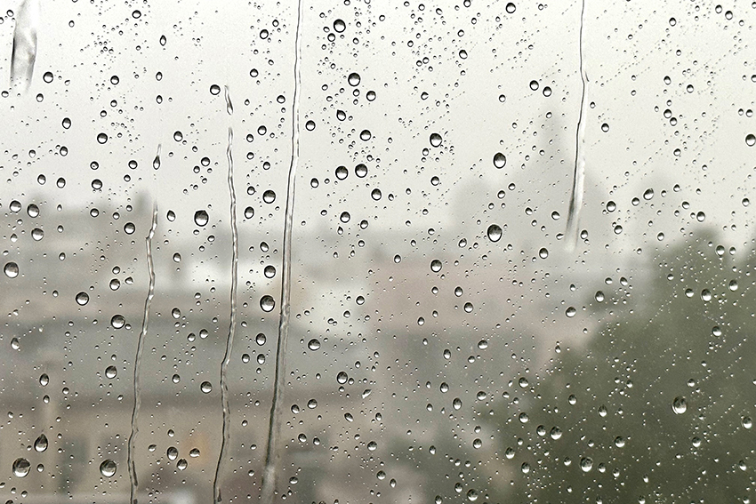 Raindrops on a window