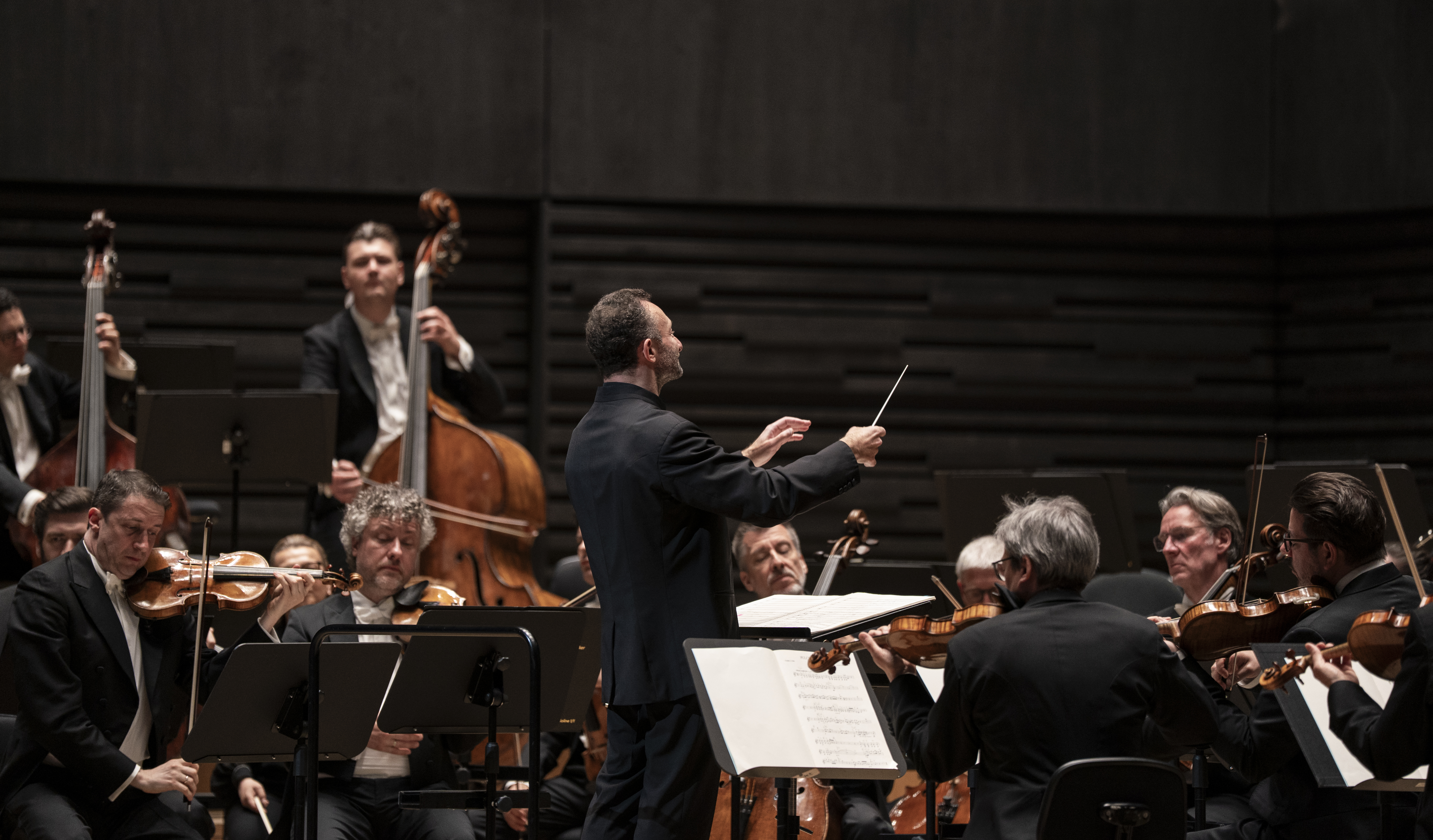 Nahaufnahme des Dirigenten Kirill Petrenko von hinten, der mit erhobenem Taktstock ein Orchester leitet. Im Vordergrund sind konzentriert spielende Violinisten und im Hintergrund Kontrabassisten vor einer dunklen, modern strukturierten Holzwand zu sehen.