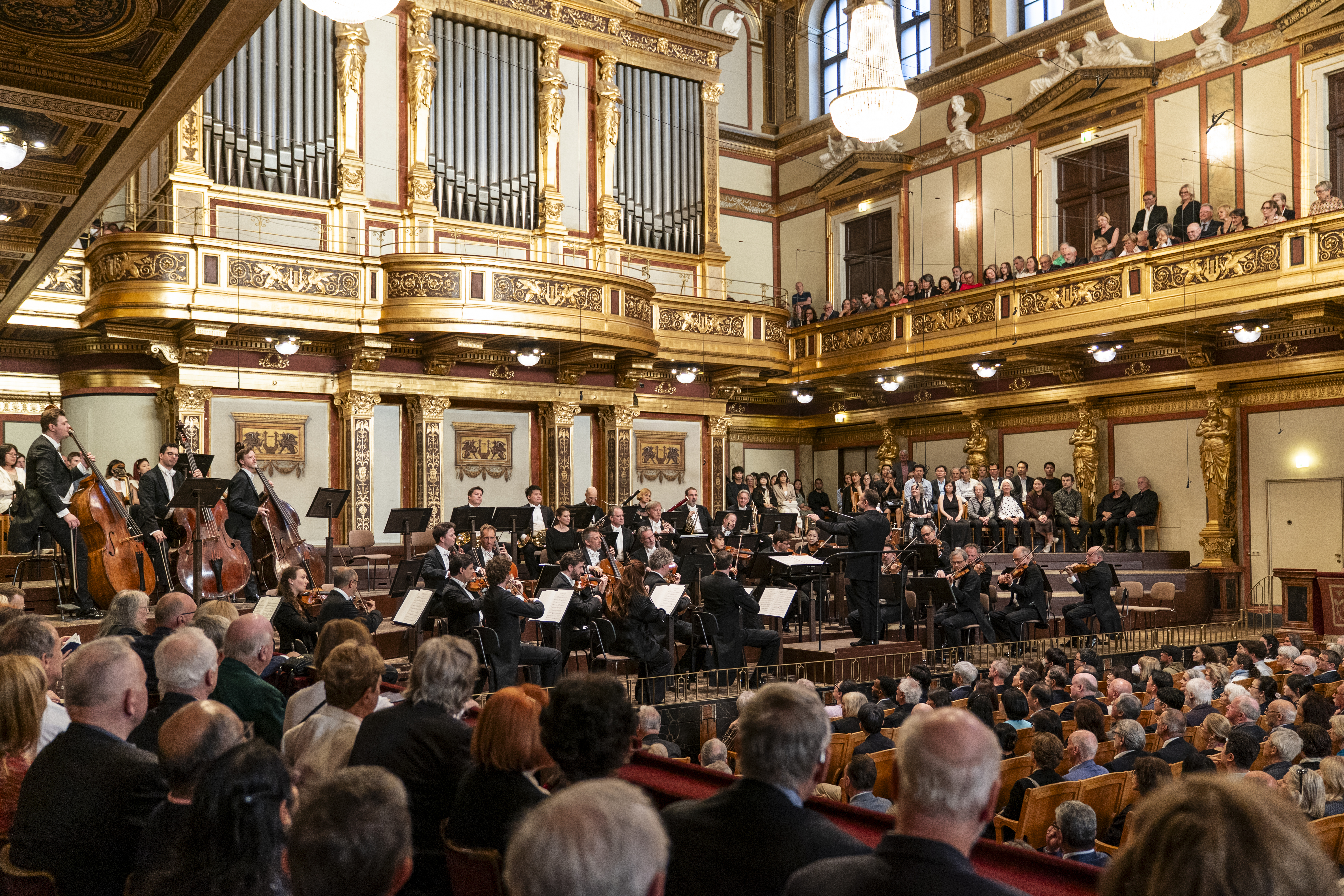 Weitwinkelaufnahme aus dem Zuschauerraum des Goldenen Saals während eines Konzerts. Die Perspektive zeigt die linke Seite der Bühne mit den Kontrabässen, den Dirigenten von hinten sowie die reich verzierten, goldglänzenden Balkone und die monumentale Orgel im Hintergrund.