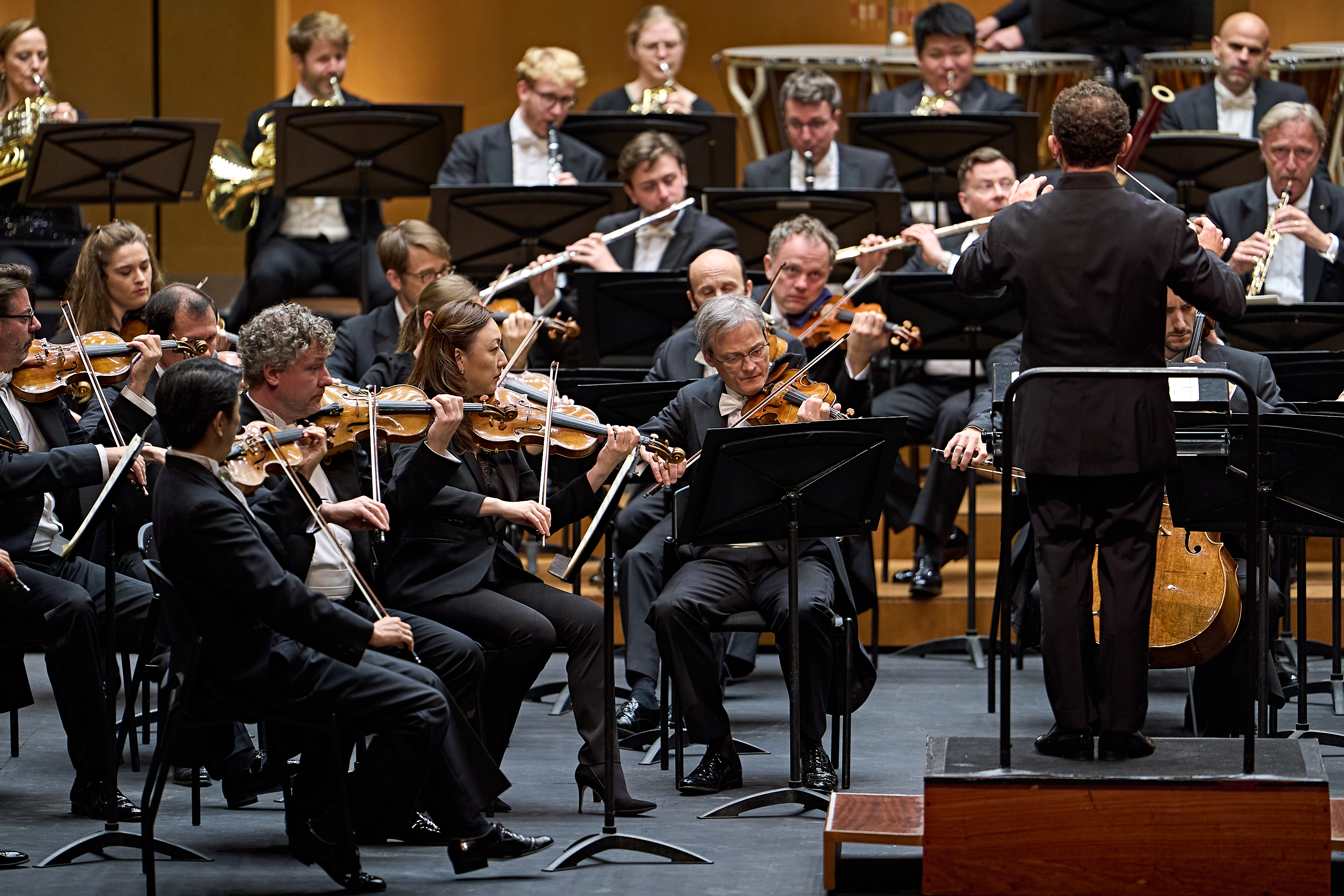 Ein Dirigent steht mit dem Rücken zur Kamera und leitet ein Sinfonieorchester, dessen Musiker auf der Bühne Geigen und andere Instrumente spielen.