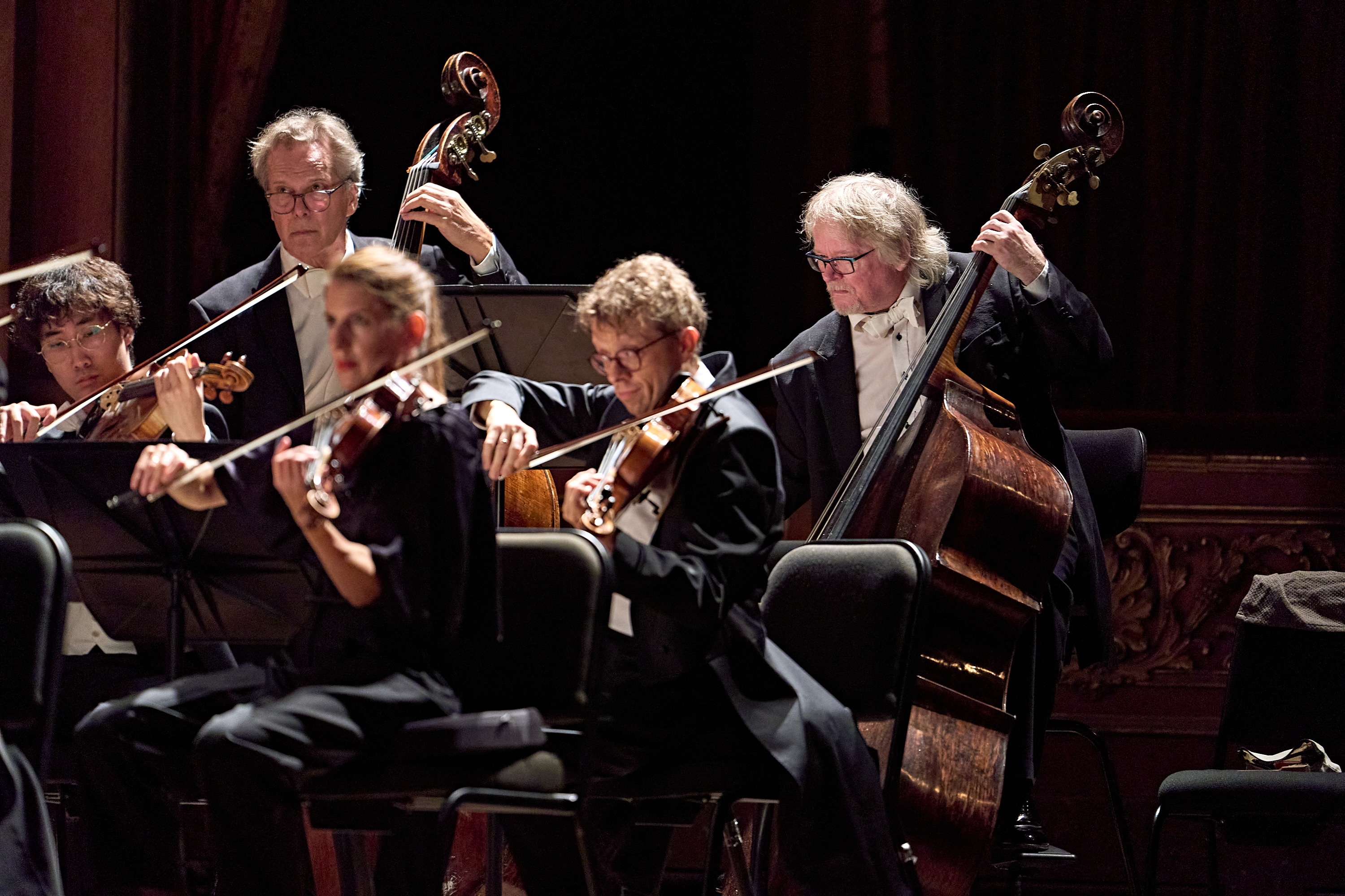 Eine Gruppe von Streicher*innen spielt im Orchester, in der hinteren Reihe spielen zwei Kontrabassist*innen.