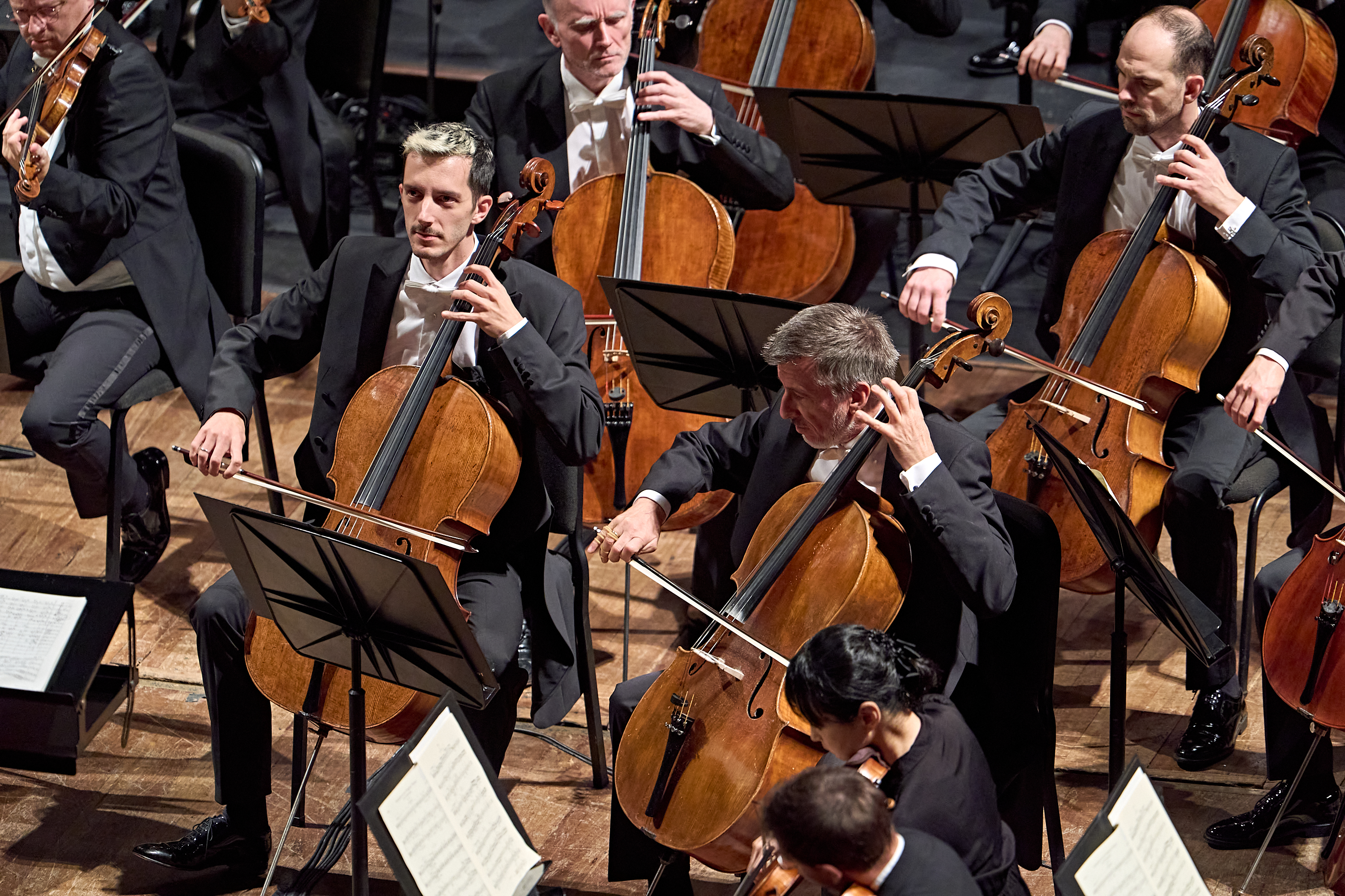 Eine Gruppe von Cellisten in festlicher Kleidung, die während eines Orchesterkonzerts auf ihren Instrumenten spielen.