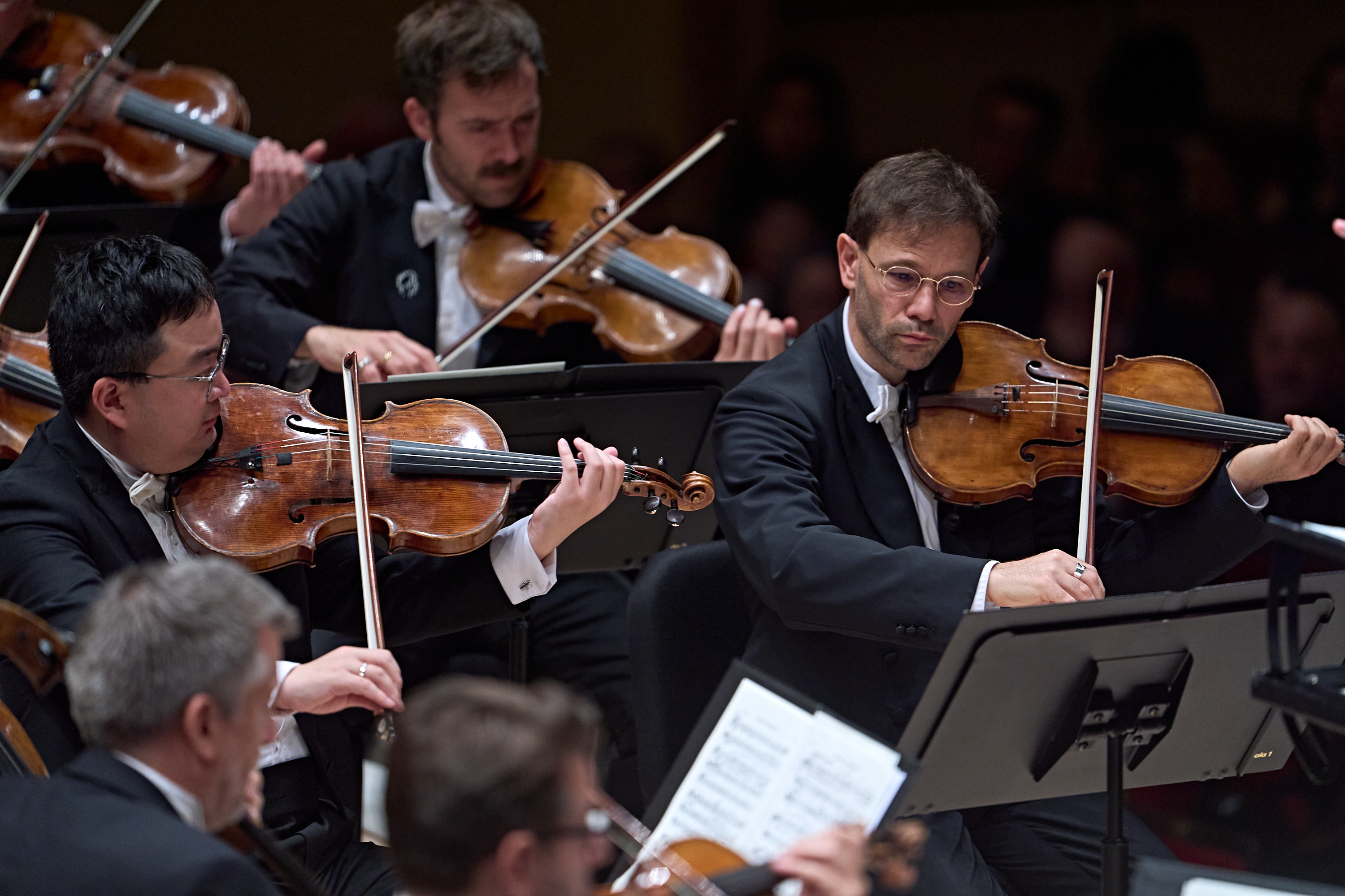 Mitglieder der Streichergruppe eines Orchesters, die während einer Aufführung Violine spielen.