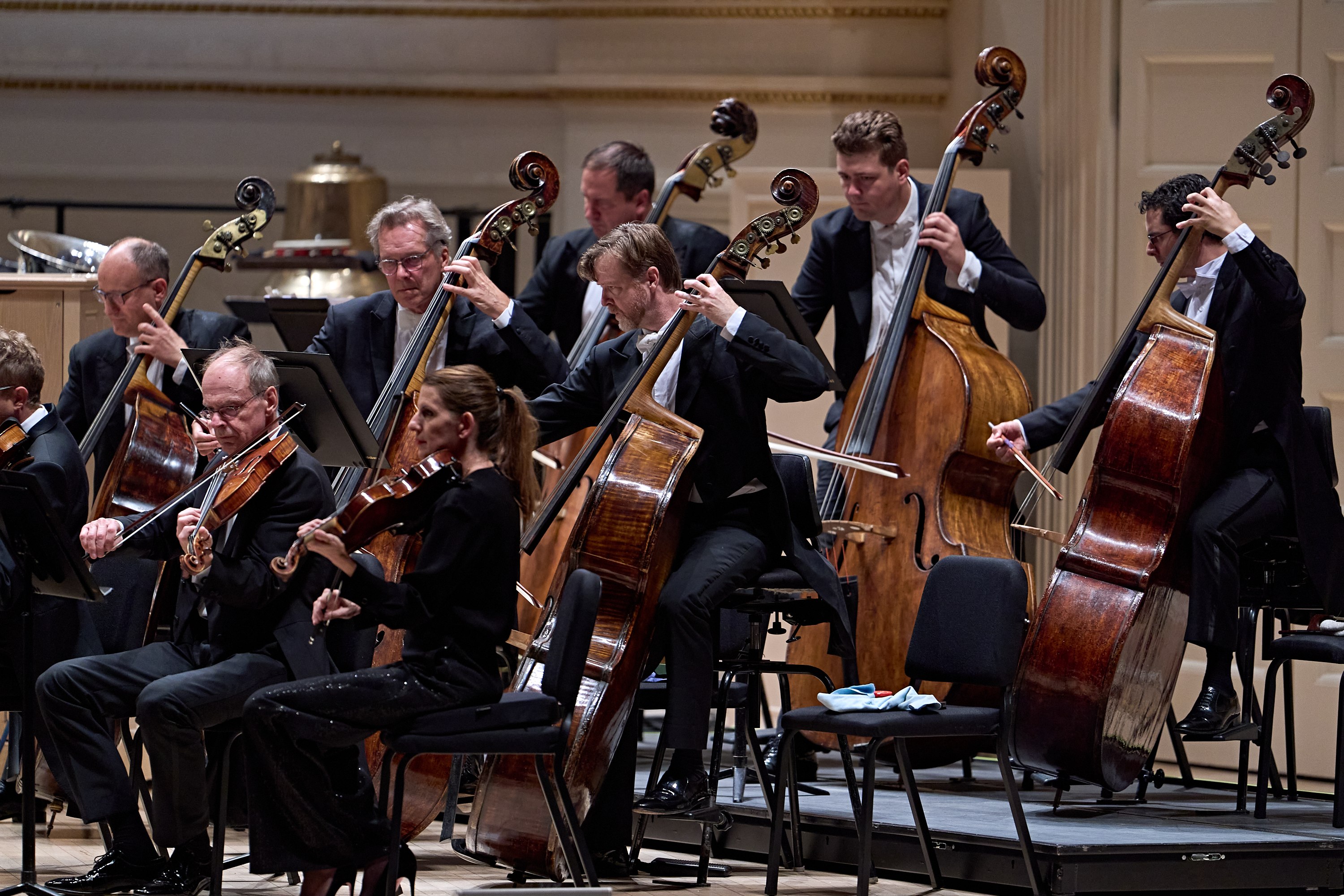 Eine Gruppe von Kontrabassisten und Geigern, die in einem Orchester spielen.