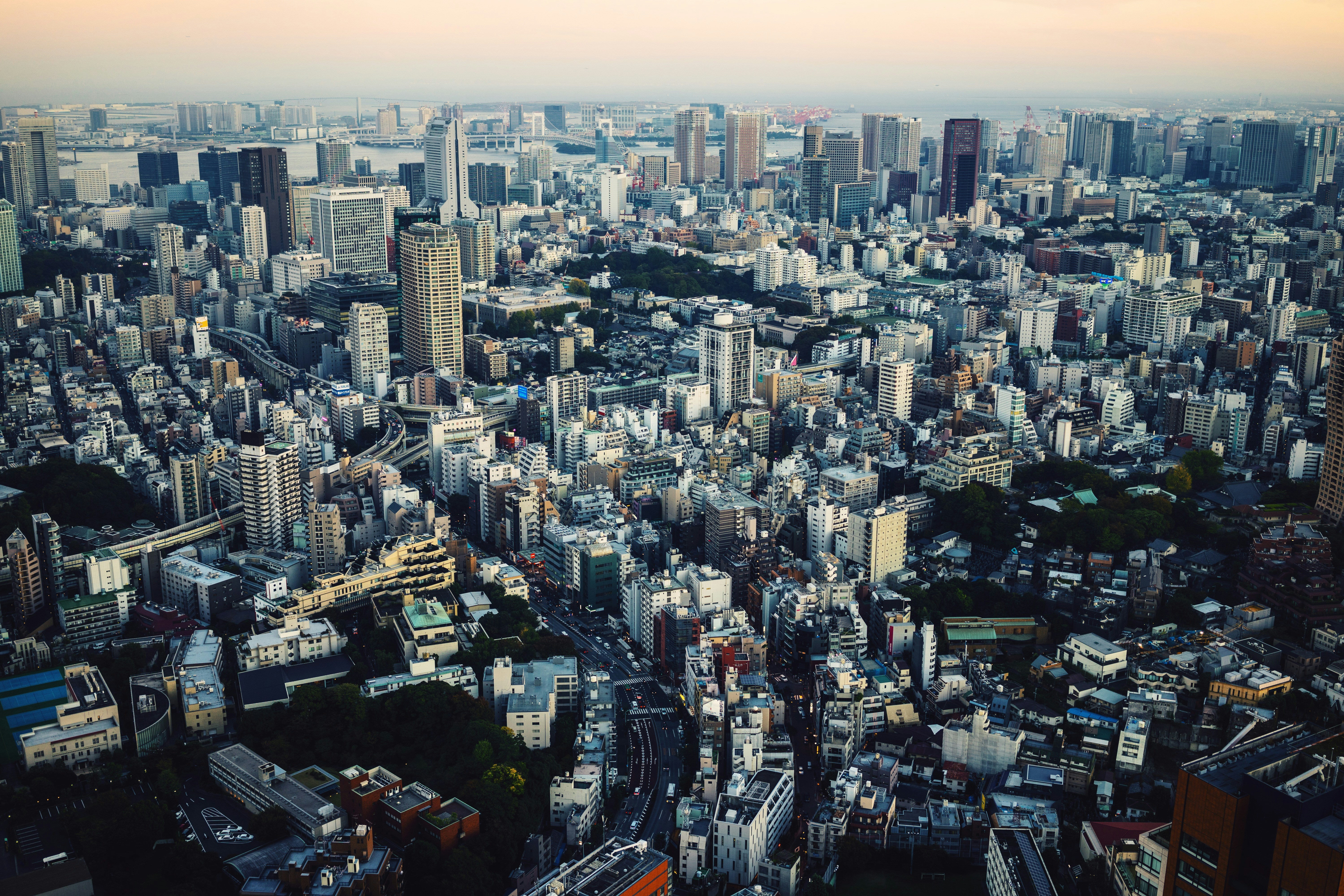 Luftaufnahme von Tokio mit zahlreichen Hochhäusern, Straßen und Grünflächen unter einem sanften Abendhimmel. Am Horizont sind weitere Gebäude zu sehen, die in der Ferne verschwinden.
