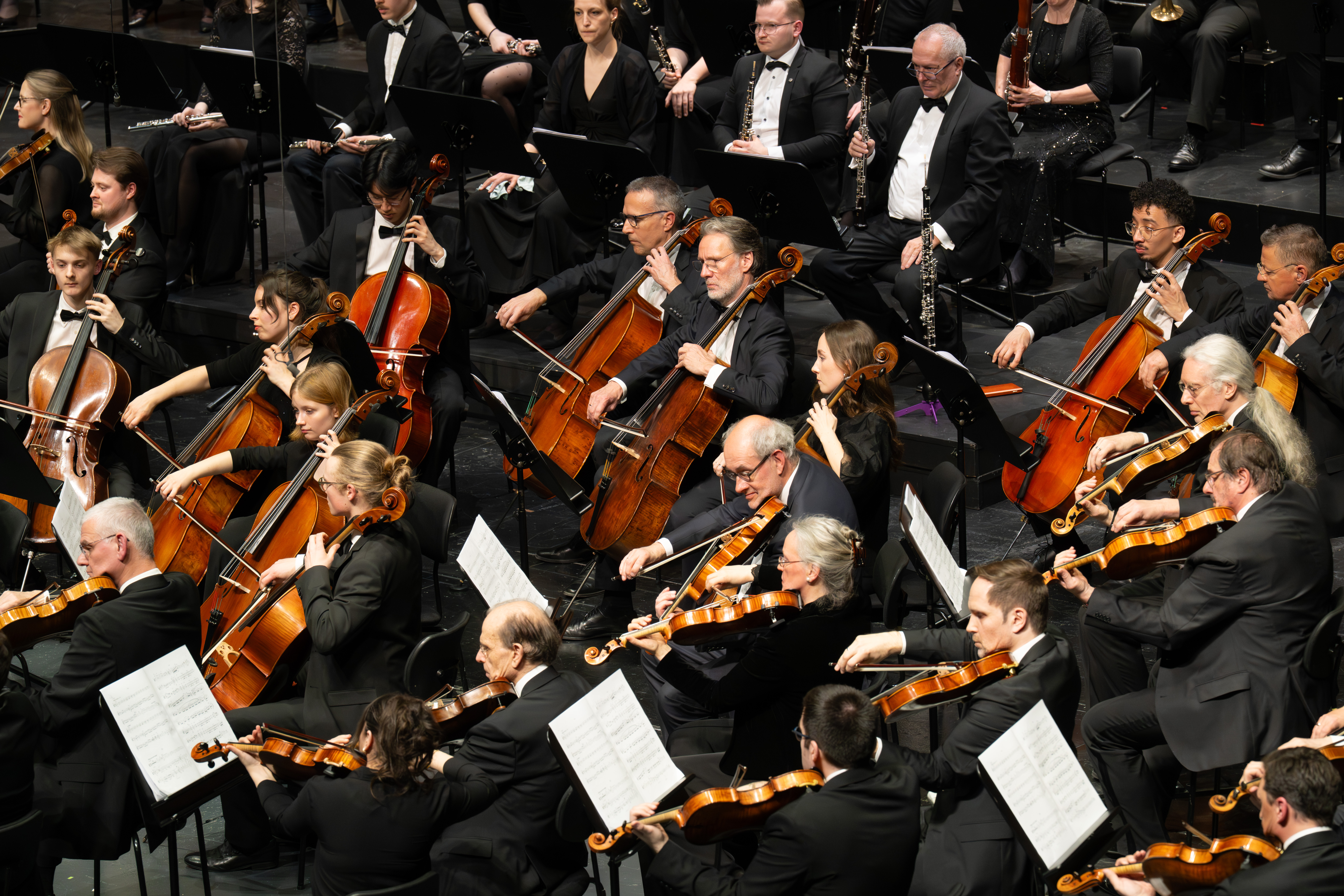 Auf der Bühne spielt ein Orchester mit Cello- und Geigenspielern, die alle in formelle schwarze Kleidung gekleidet sind und Noten lesen. Das Ensemble sitzt in mehreren Reihen dicht beieinander.
