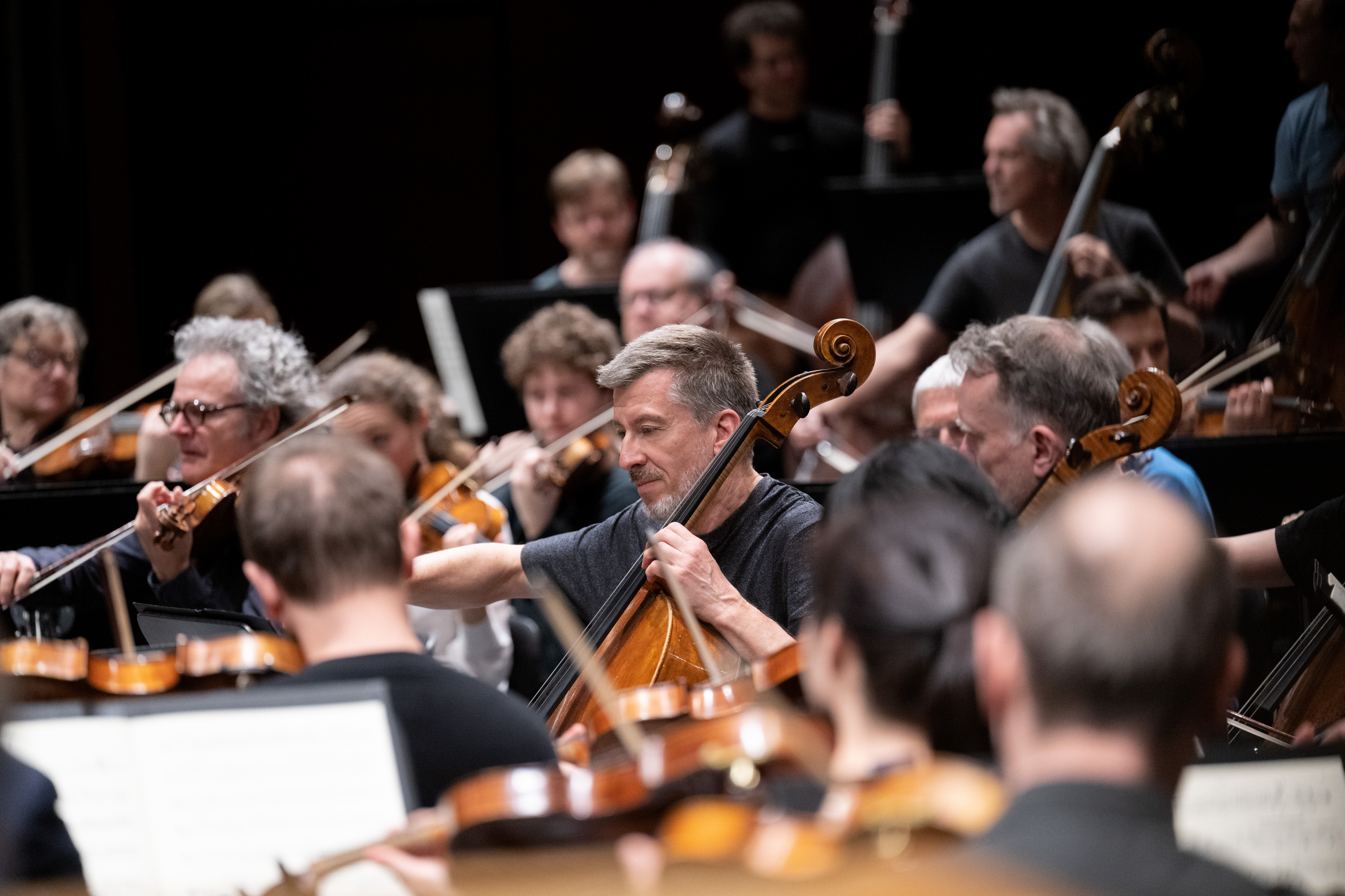 Blick in das probende Orchester: ein Cellist ist im Fokus, darum herum sind viele Streicher mit Bögel und Geigen zu sehen.